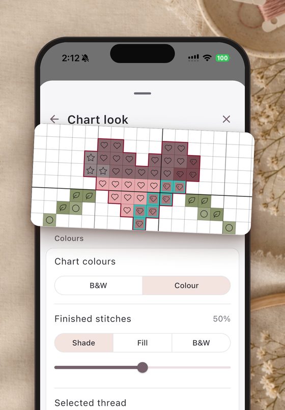 Chart look settings on iPhone: colour or black and white, how finished stitches look, and the highlight colour.