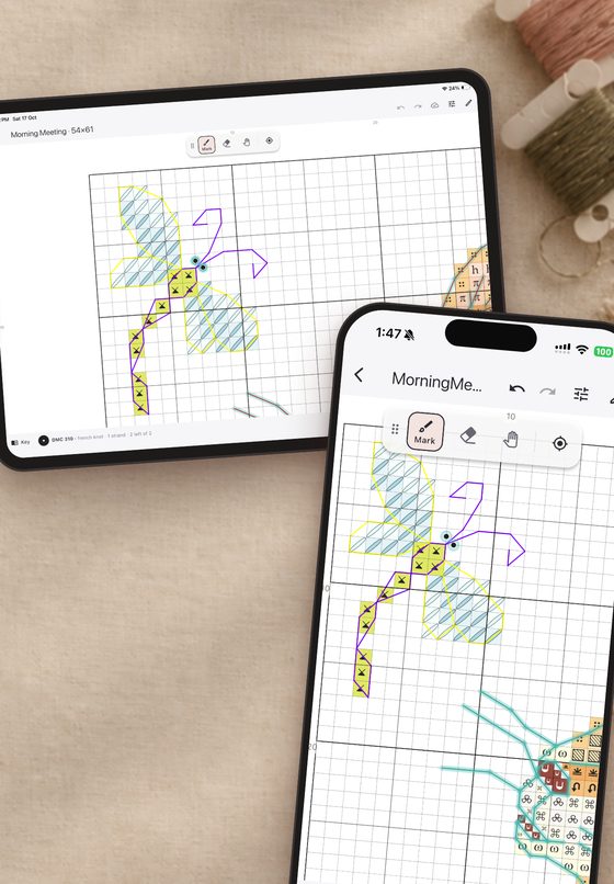 The same chart open on an iPad and an iPhone, with the same progress on both.